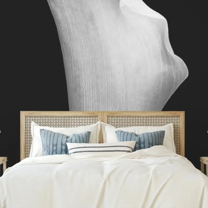 Wall mural graceful calla lily in grayscale
