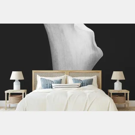 Wall mural graceful calla lily in grayscale • Wallissimo®
