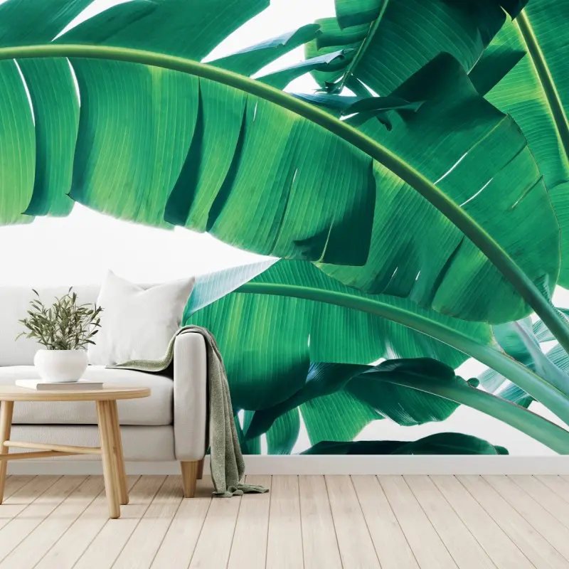 Wall mural lush tropical banana leaves