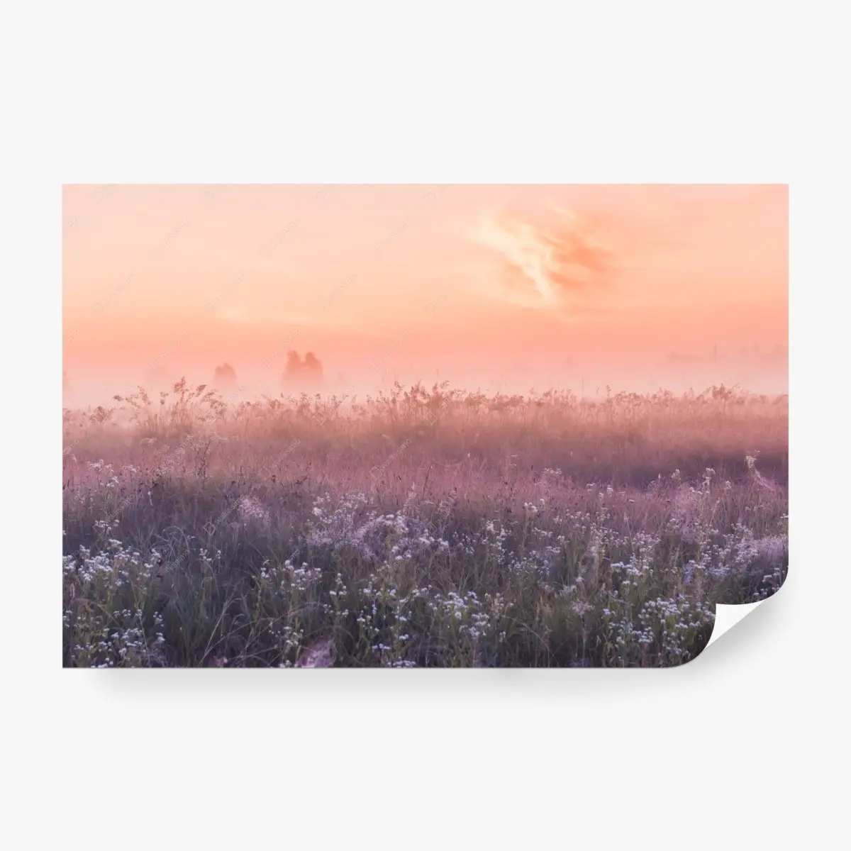 Wall mural serene pastel meadow at dawn • Wallissimo®