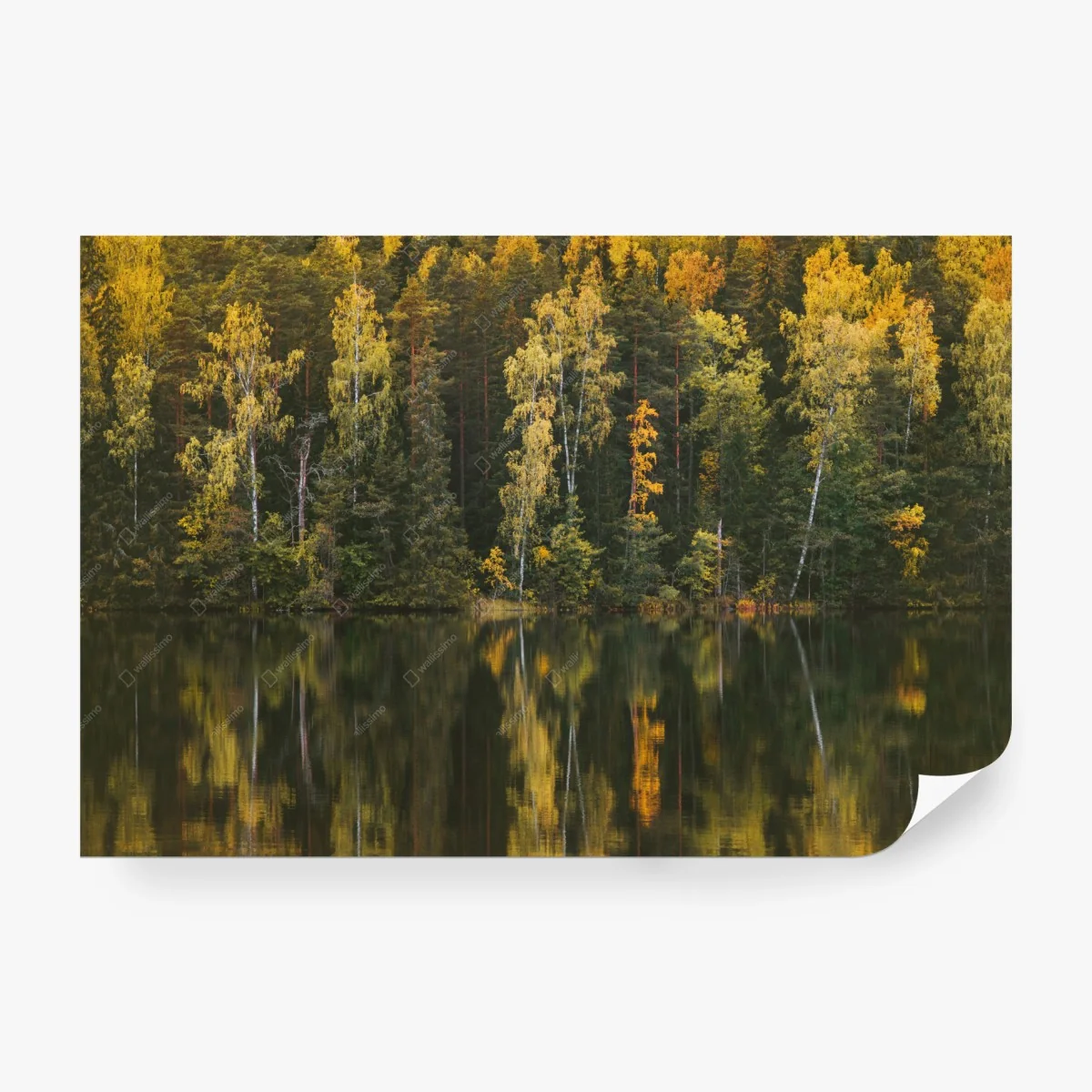 Wall mural autumn forest reflection over lake • Wallissimo® Wall mural autumn forest reflection over lake • Wallissimo®