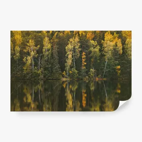 Wall mural autumn forest reflection over lake • Wallissimo®