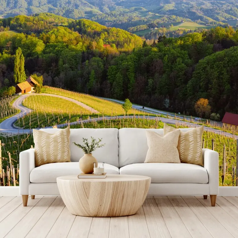 Wall mural lush vineyard landscape with winding road