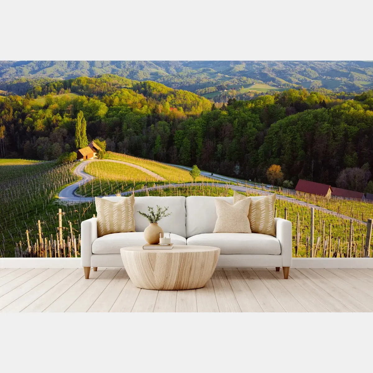 Wall mural lush vineyard landscape with winding road • Wallissimo®