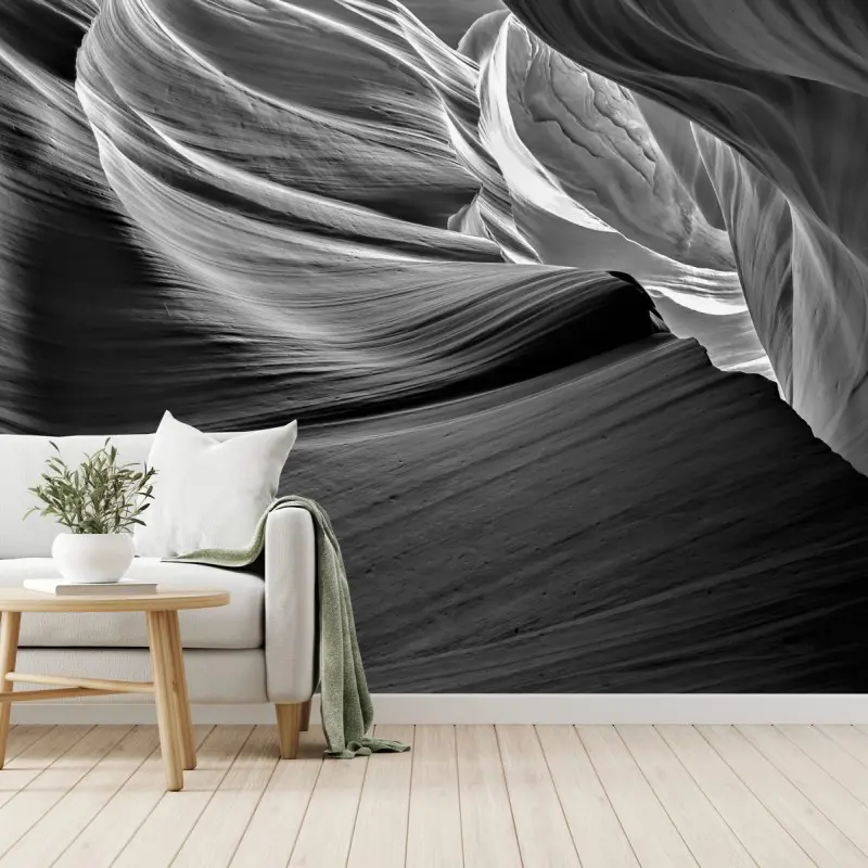 Wall mural monochrome canyon curves