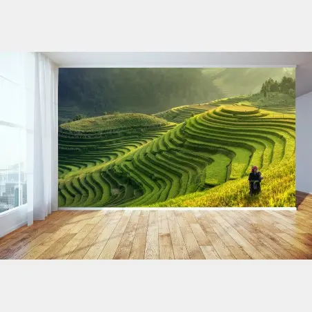 Wall mural Mu Cang Chai terraced rice fields • Wallissimo®