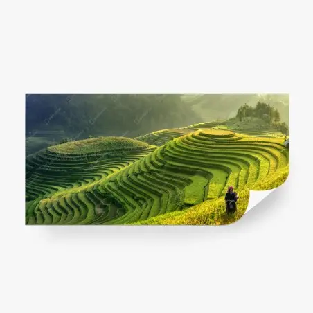 Wall mural Mu Cang Chai terraced rice fields • Wallissimo®