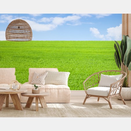 Wall mural endless green meadow under blue sky • Wallissimo®