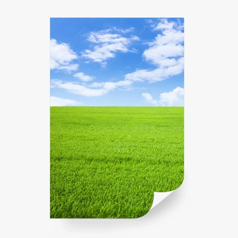 Wall mural endless green meadow under blue sky