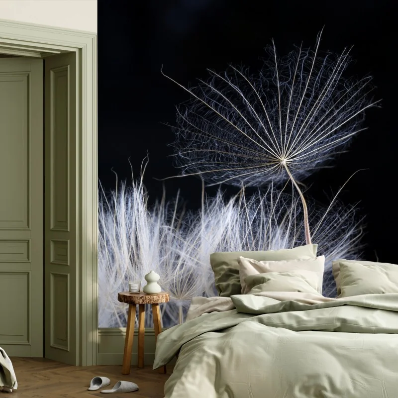 Wall mural delicate dandelion seed on black • Wallissimo® Wall mural delicate dandelion seed on black • Wallissimo®