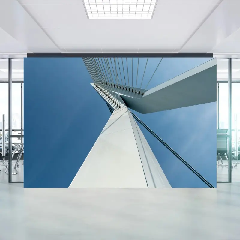 Wall mural ascending lines: modern bridge pylon