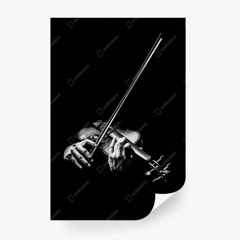 Wall mural monochrome violinist hands • Wallissimo® Wall mural monochrome violinist hands • Wallissimo®