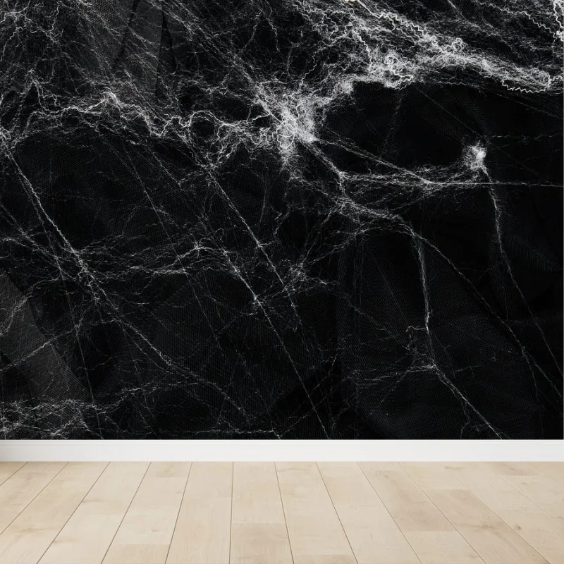 Wall mural eerie cobweb on black background
