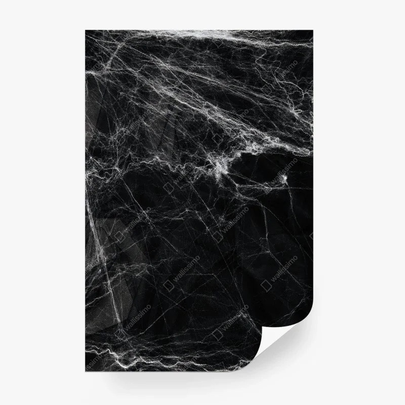 Wall mural eerie cobweb on black background
