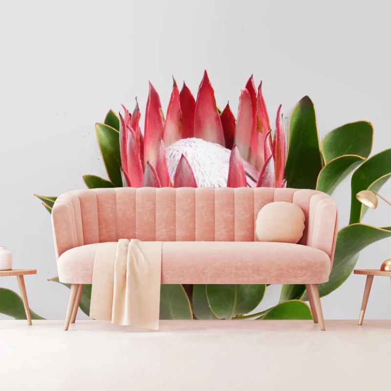Wall mural pink protea bloom on neutral background • Wallissimo® Wall mural pink protea bloom on neutral background • Wallissimo®