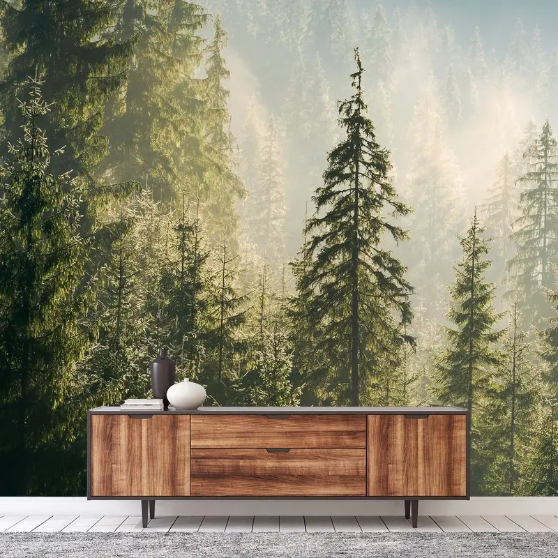 Wall mural misty spruce forest in morning light