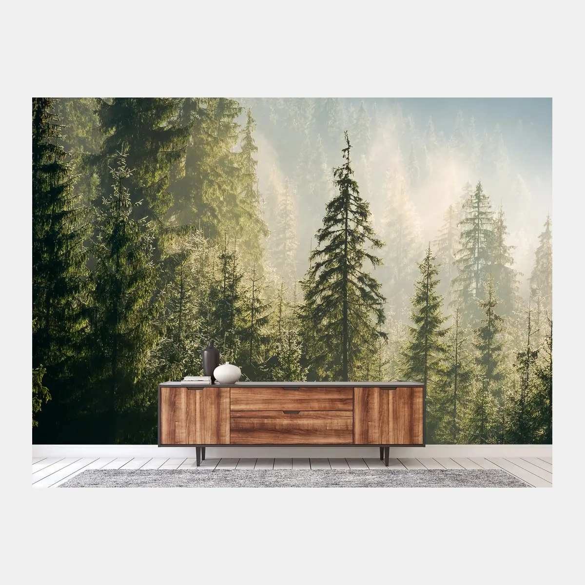 Wall mural misty spruce forest in morning light • Wallissimo®