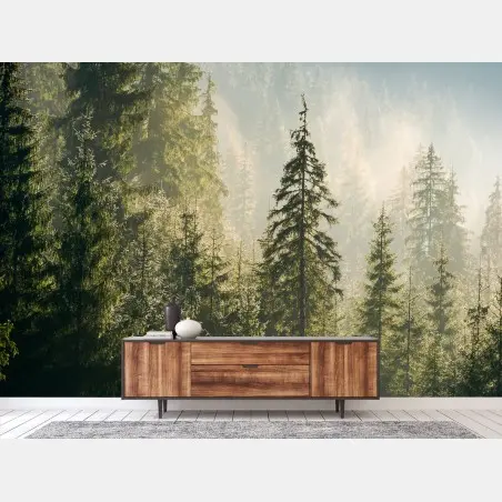 Wall mural misty spruce forest in morning light • Wallissimo®