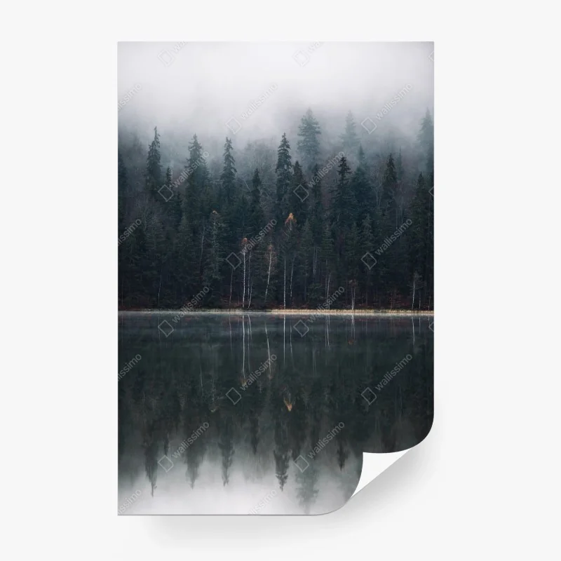 Wall mural misty forest reflection
