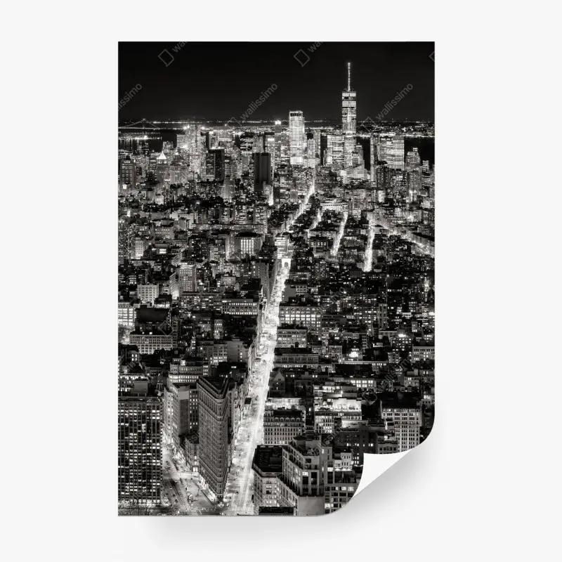 Wall mural monochrome city skyline at night
