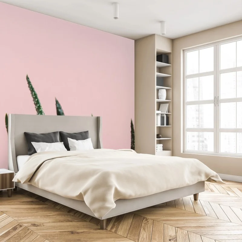 Wall mural green aloe on pink background