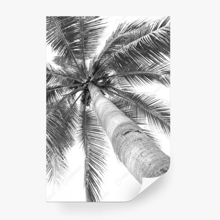Wall mural monochrome palm tree from below • Wallissimo®