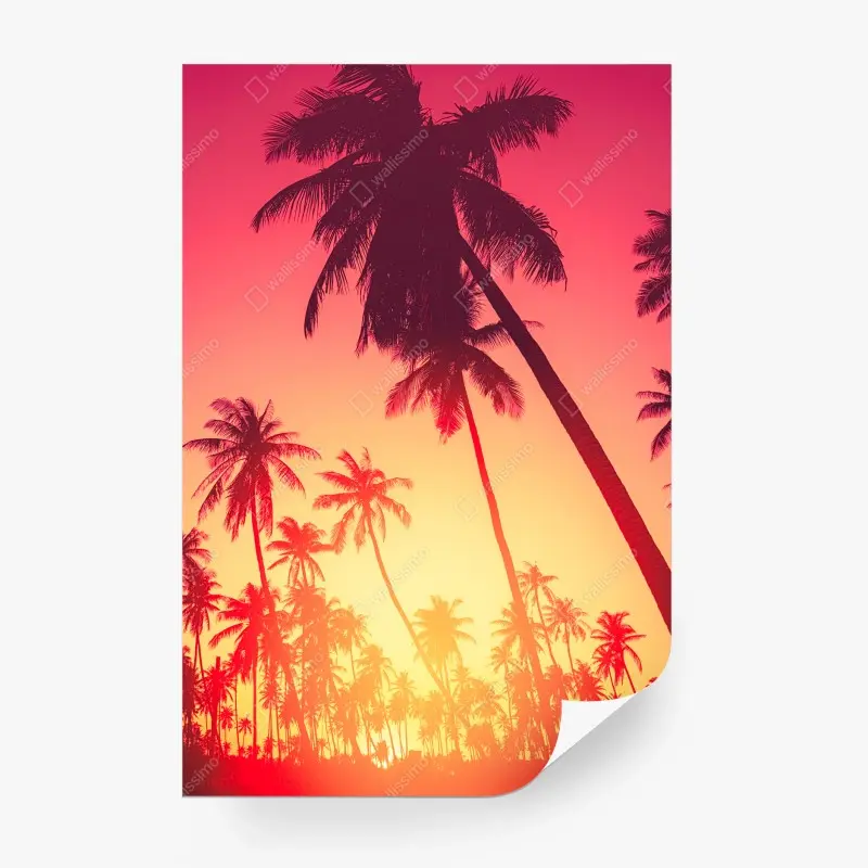 Wall mural tropical sunset palms