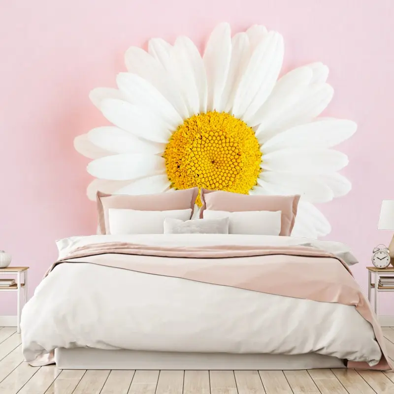 Wall mural white daisy on pastel pink background