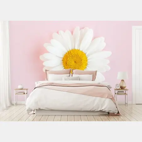 Wall mural white daisy on pastel pink background • Wallissimo®