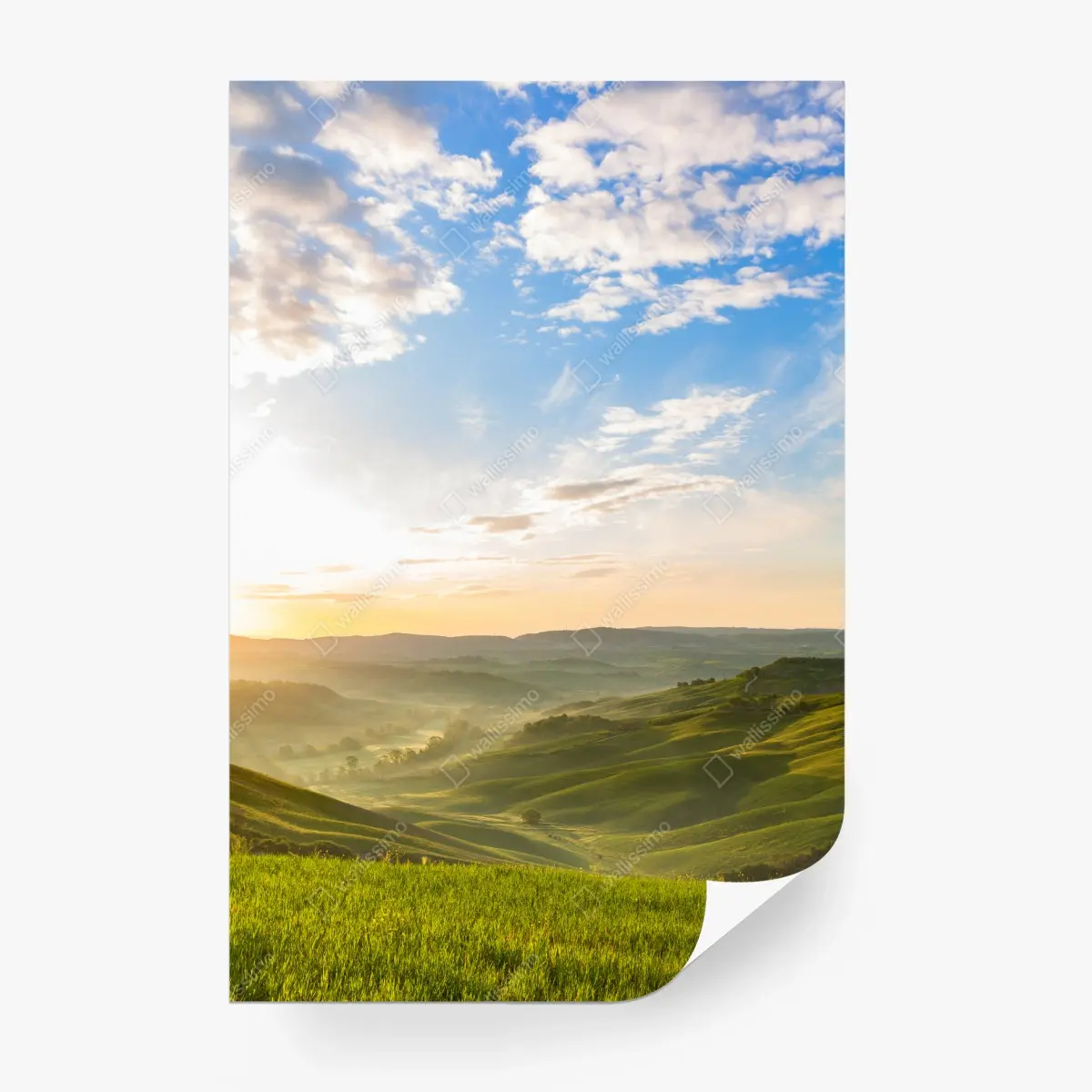 Wall mural sunrise over misty rolling hills • Wallissimo®