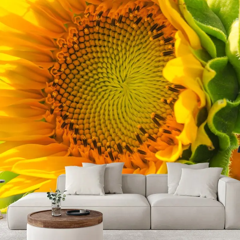Wall mural sunflower bloom close-up