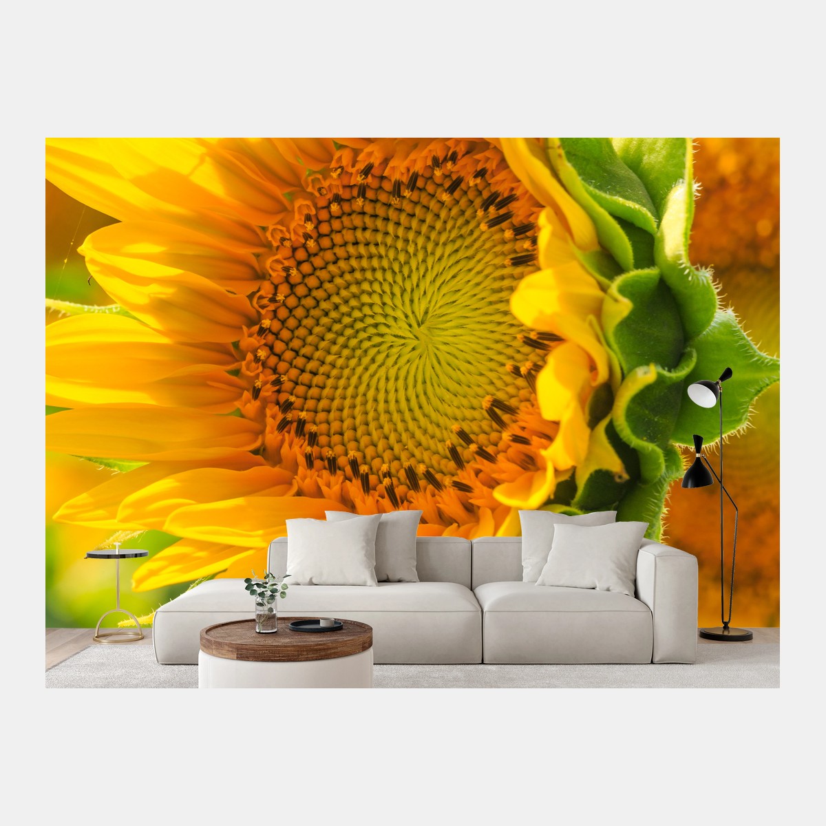 Wall mural sunflower bloom close-up • Wallissimo®