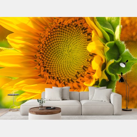 Wall mural sunflower bloom close-up • Wallissimo®