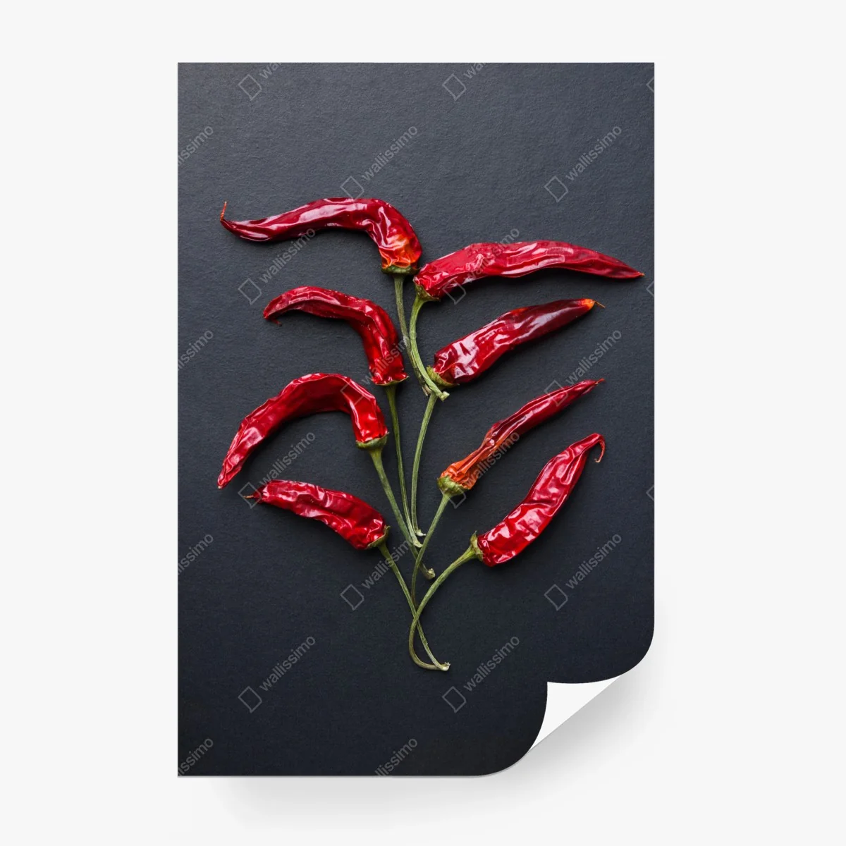 Wall mural red chili pepper culinary art • Wallissimo® Wall mural red chili pepper culinary art • Wallissimo®
