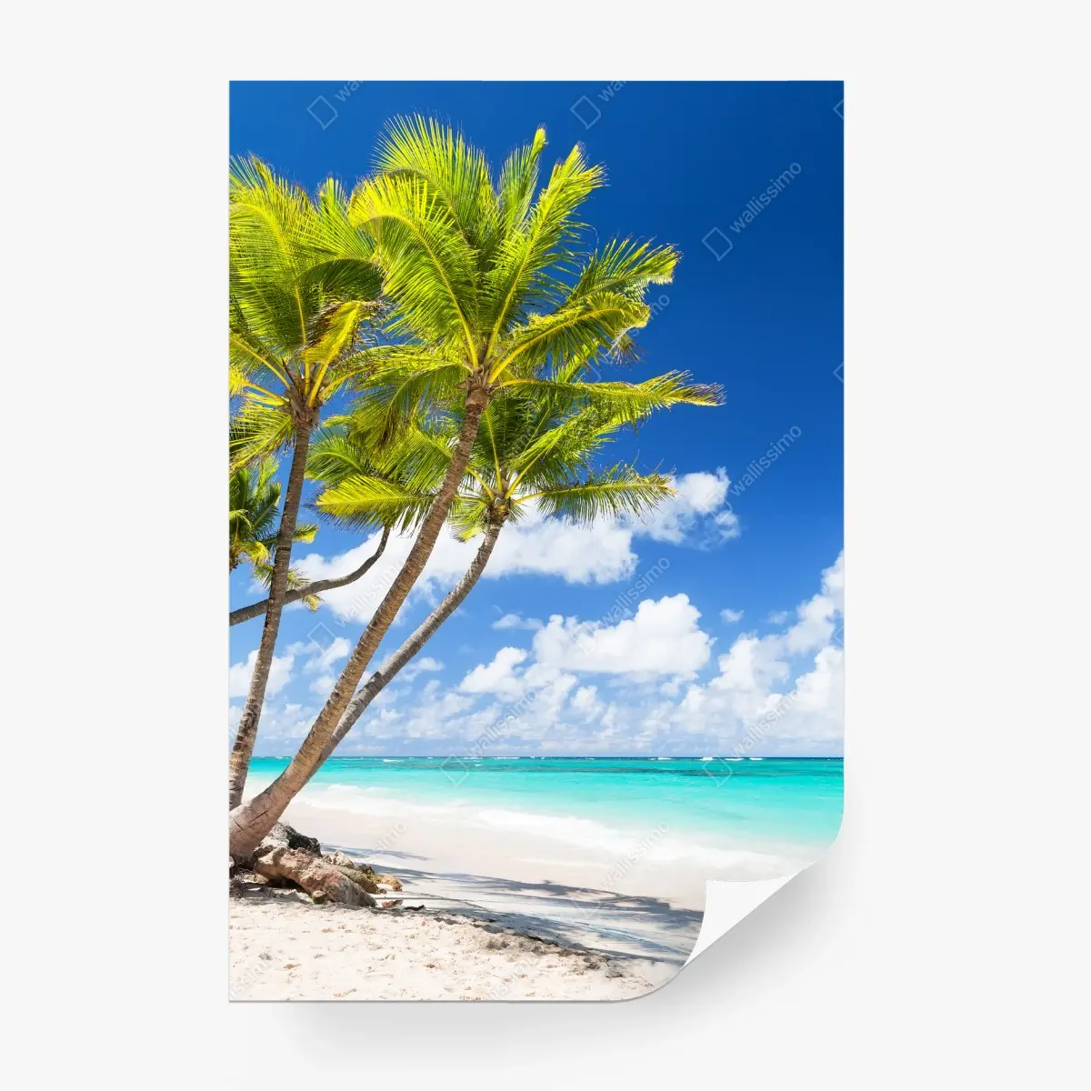 Wall mural tropical palm beach in Punta Cana • Wallissimo®