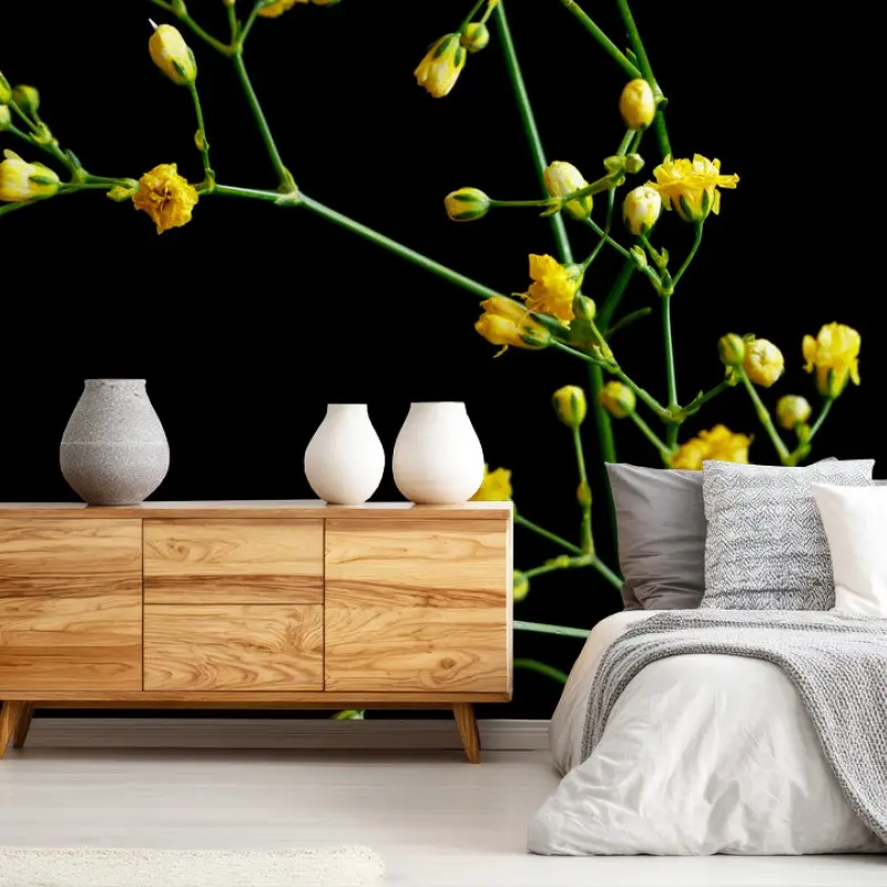 Wall mural delicate yellow gypsophila on black