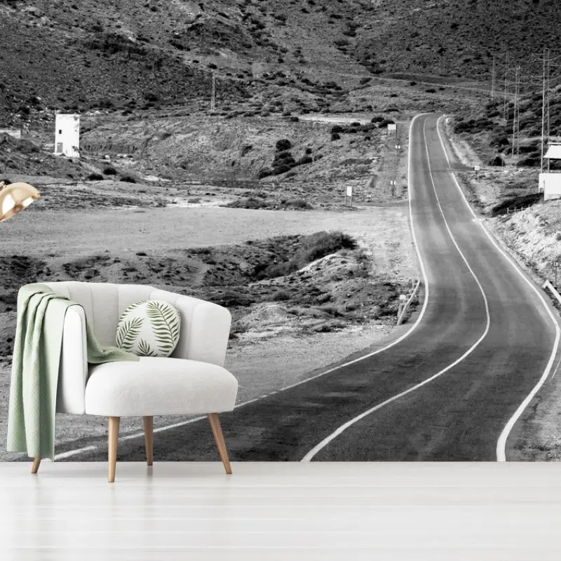 Wall mural winding road through mountains