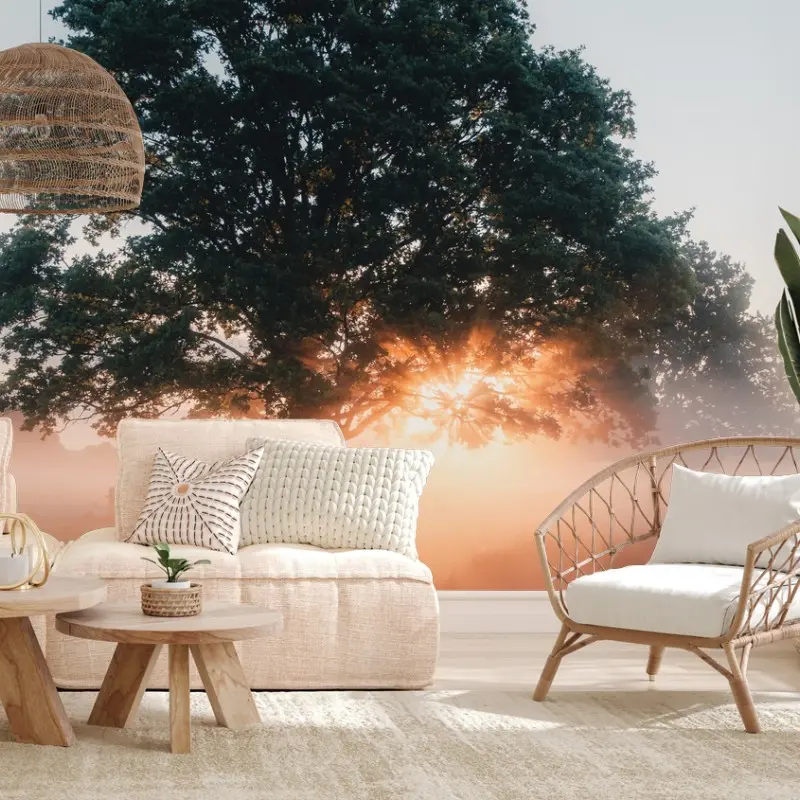Wall mural misty sunrise by the oak tree