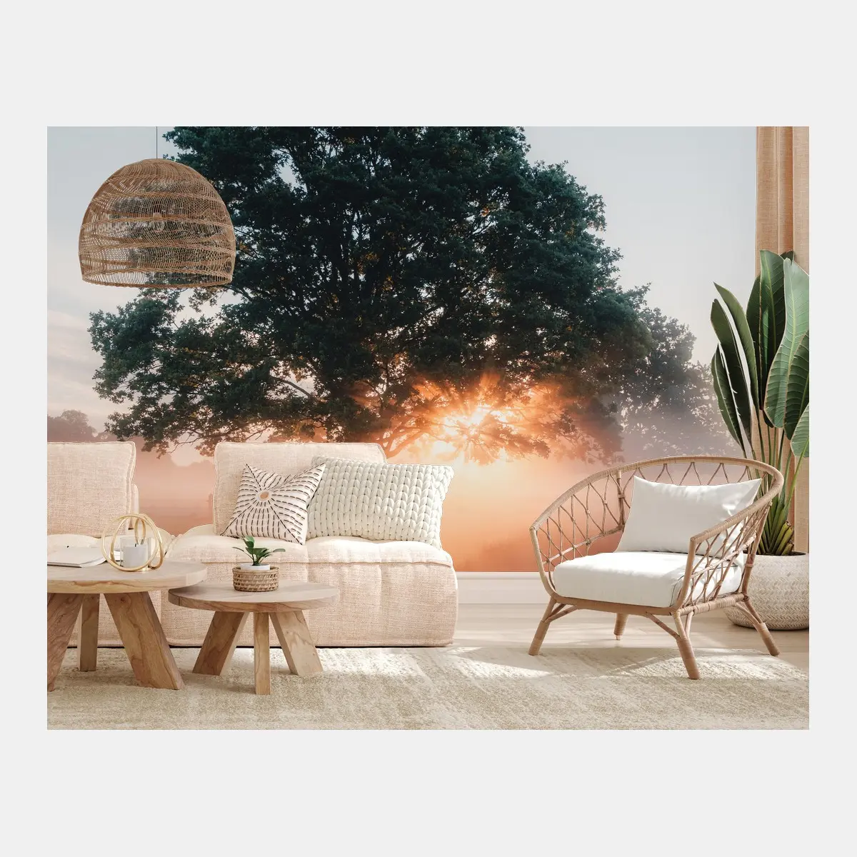 Wall mural misty sunrise by the oak tree • Wallissimo®