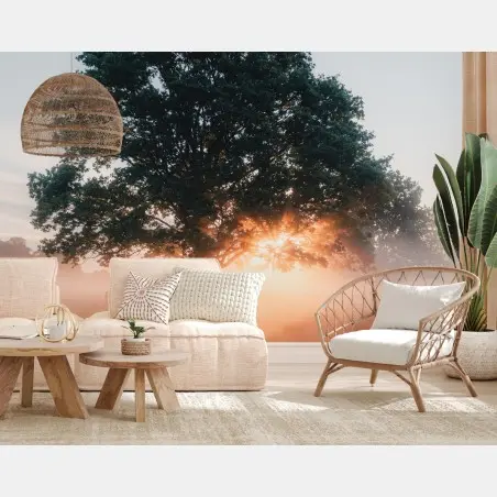 Wall mural misty sunrise by the oak tree • Wallissimo®