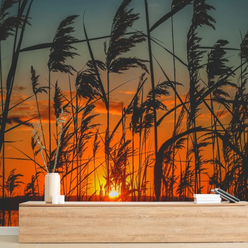 Wall mural sunset over lake with silhouetted reeds
