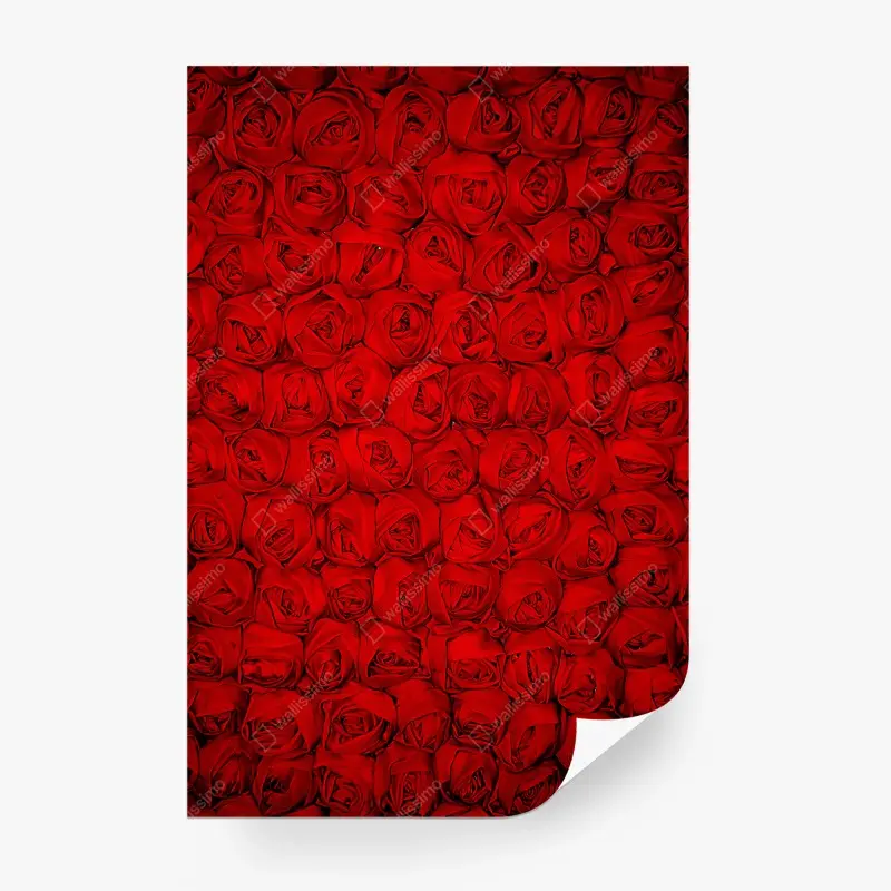 Wall mural endless bed of red roses
