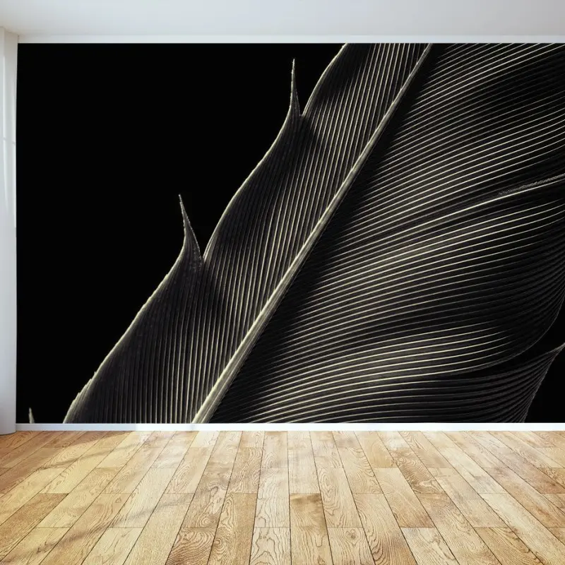Wall mural delicate feather study in monochrome