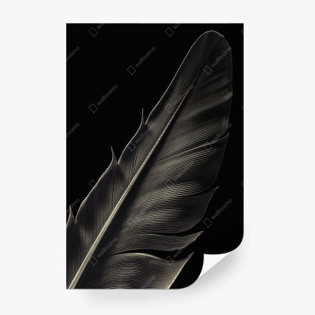 Wall mural delicate feather study in monochrome • Wallissimo®