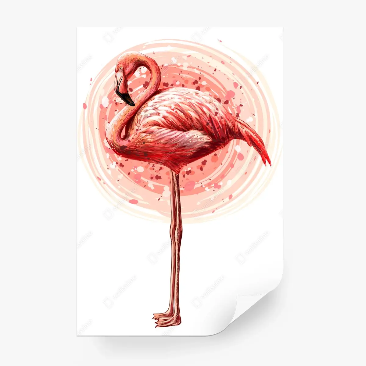 Wall mural graceful pink flamingo illustration • Wallissimo®