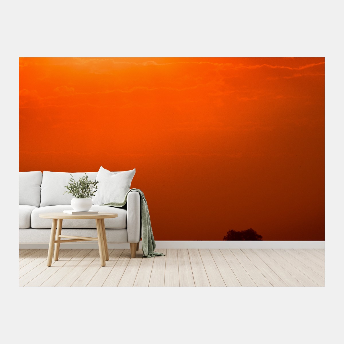 Wall mural golden sunset over tranquil lake • Wallissimo®