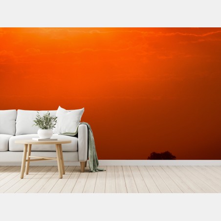 Wall mural golden sunset over tranquil lake • Wallissimo®