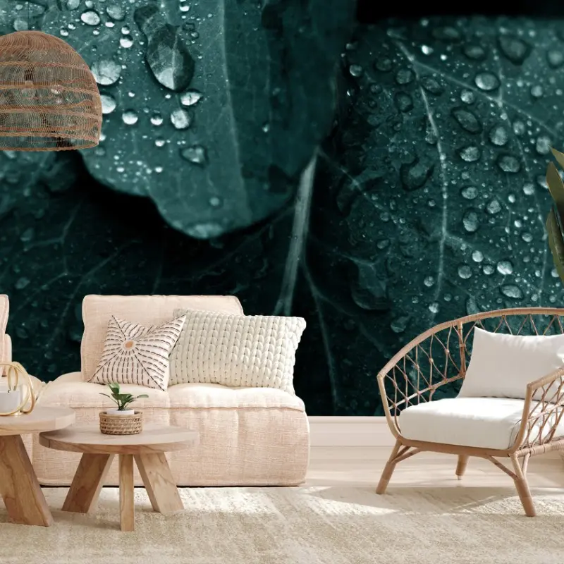 Wall mural teal dewdrops on leaves
