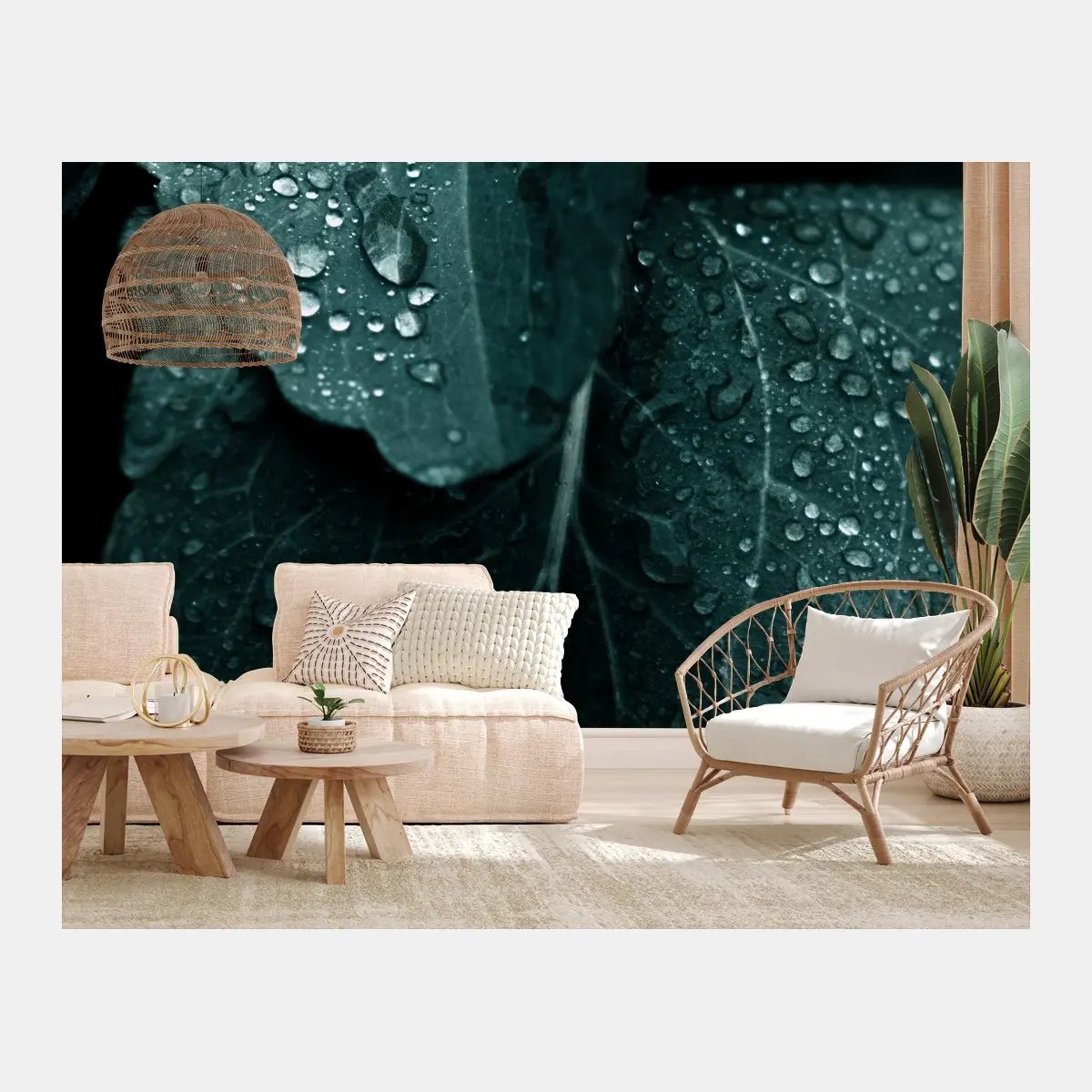 Wall mural teal dewdrops on leaves • Wallissimo®