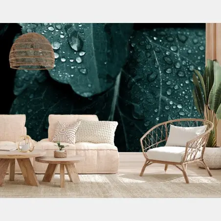 Wall mural teal dewdrops on leaves • Wallissimo®